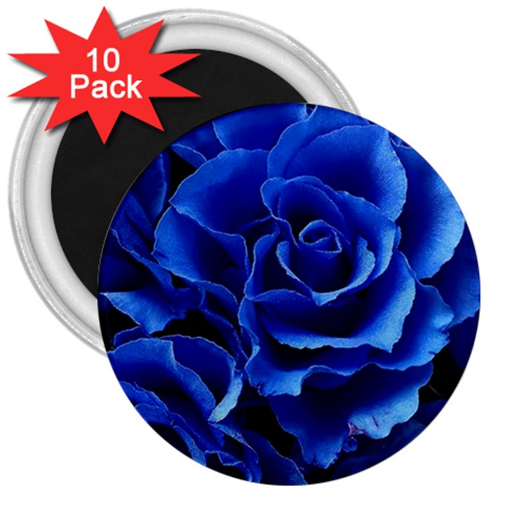 Blue Roses Flowers Plant Romance Blossom Bloom Nature Flora Petals 3  Magnets (10 pack) 