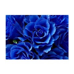 Blue Roses Flowers Plant Romance Blossom Bloom Nature Flora Petals Crystal Sticker (a4) by Proyonanggan