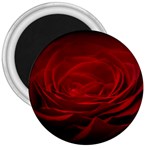 Rose Red Rose Red Flower Petals Waves Glow 3  Magnets Front