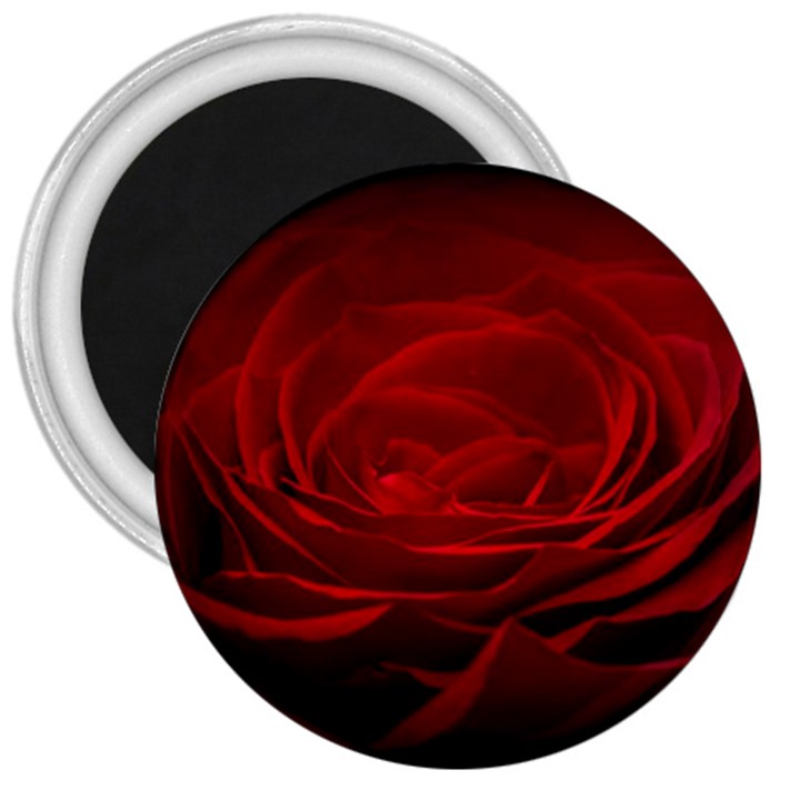 Rose Red Rose Red Flower Petals Waves Glow 3  Magnets