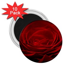 Rose Red Rose Red Flower Petals Waves Glow 2 25  Magnets (10 Pack)  by Proyonanggan