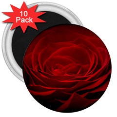 Rose Red Rose Red Flower Petals Waves Glow 3  Magnets (10 Pack) 