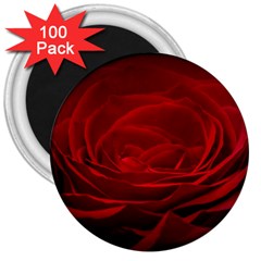 Rose Red Rose Red Flower Petals Waves Glow 3  Magnets (100 Pack) by Proyonanggan