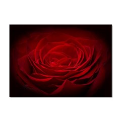 Rose Red Rose Red Flower Petals Waves Glow Sticker A4 (100 pack)