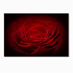 Rose Red Rose Red Flower Petals Waves Glow Postcard 4 x 6  (pkg Of 10) by Proyonanggan