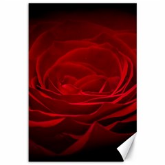 Rose Red Rose Red Flower Petals Waves Glow Canvas 12  x 18 