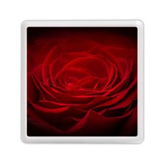 Rose Red Rose Red Flower Petals Waves Glow Memory Card Reader (square) by Proyonanggan