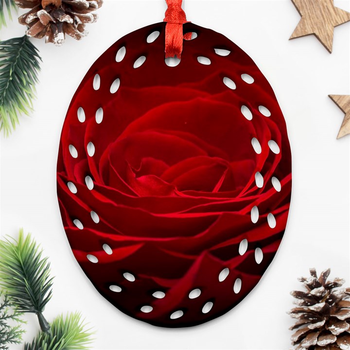 Rose Red Rose Red Flower Petals Waves Glow Ornament (Oval Filigree)