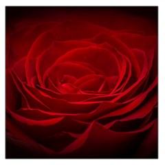 Rose Red Rose Red Flower Petals Waves Glow Square Satin Scarf (36  X 36 ) by Proyonanggan