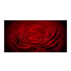 Rose Red Rose Red Flower Petals Waves Glow Satin Wrap 35  x 70 