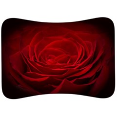 Rose Red Rose Red Flower Petals Waves Glow Velour Seat Head Rest Cushion by Proyonanggan