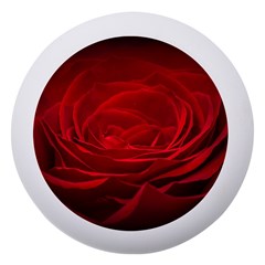 Rose Red Rose Red Flower Petals Waves Glow Dento Box With Mirror by Proyonanggan