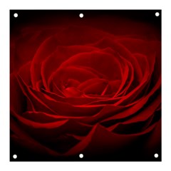 Rose Red Rose Red Flower Petals Waves Glow Banner And Sign 3  X 3  by Proyonanggan