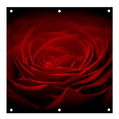 Rose Red Rose Red Flower Petals Waves Glow Banner And Sign 4  X 4  by Proyonanggan