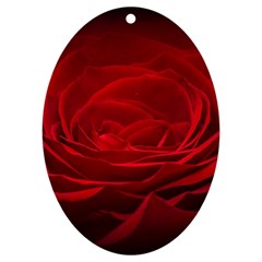 Rose Red Rose Red Flower Petals Waves Glow Uv Print Acrylic Ornament Oval by Proyonanggan