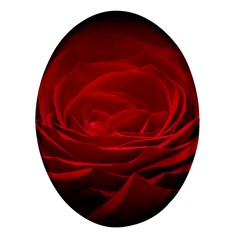 Rose Red Rose Red Flower Petals Waves Glow Oval Glass Fridge Magnet (4 Pack) by Proyonanggan