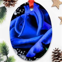 Blue Rose Bloom Blossom Oval Ornament (two Sides) by Proyonanggan