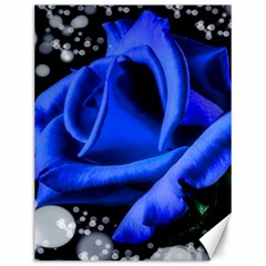 Blue Rose Bloom Blossom Canvas 12  X 16  by Proyonanggan