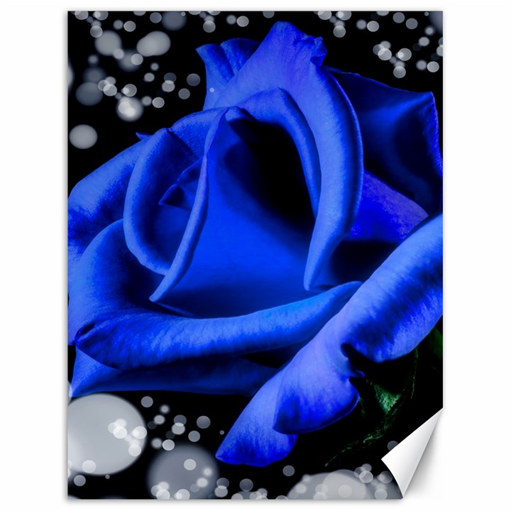 Blue Rose Bloom Blossom Canvas 18  x 24 