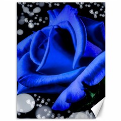 Blue Rose Bloom Blossom Canvas 36  X 48  by Proyonanggan