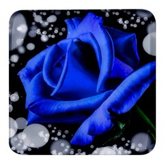 Blue Rose Bloom Blossom Square Glass Fridge Magnet (4 Pack) by Proyonanggan