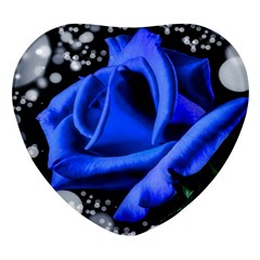 Blue Rose Bloom Blossom Heart Glass Fridge Magnet (4 Pack) by Proyonanggan