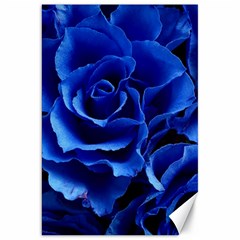 Roses Flowers Plant Romance Canvas 20  X 30  by Proyonanggan