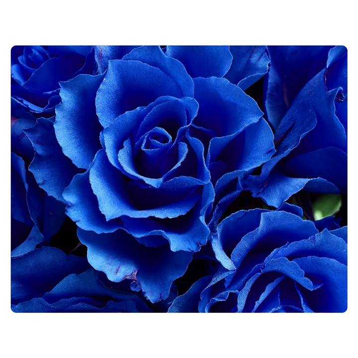 Roses Flowers Plant Romance Two Sides Premium Plush Fleece Blanket (Medium)