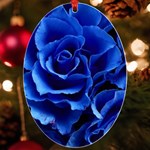 Roses Flowers Plant Romance UV Print Acrylic Ornament Oval Front