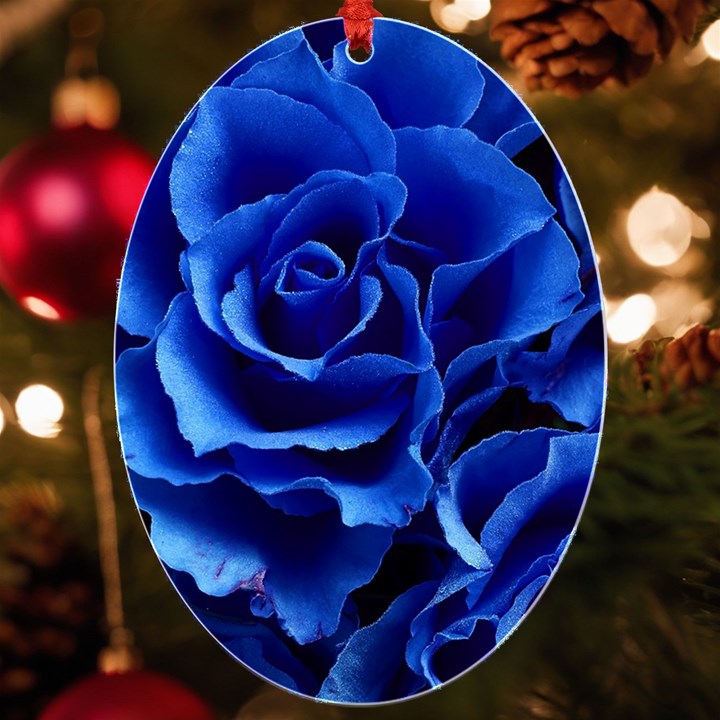 Roses Flowers Plant Romance UV Print Acrylic Ornament Oval