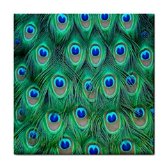 Feather, Bird, Pattern, Peacock, Texture Tile Coaster by nateshop