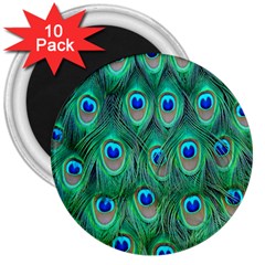 Feather, Bird, Pattern, Peacock, Texture 3  Magnets (10 Pack)  by nateshop