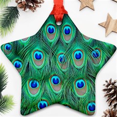 Feather, Bird, Pattern, Peacock, Texture Ornament (star) by nateshop