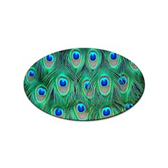 Feather, Bird, Pattern, Peacock, Texture Sticker (oval) by nateshop