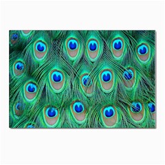 Feather, Bird, Pattern, Peacock, Texture Postcards 5  X 7  (pkg Of 10) by nateshop