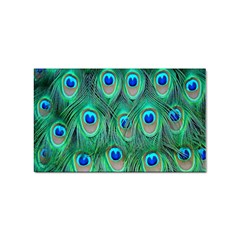 Feather, Bird, Pattern, Peacock, Texture Sticker (rectangular) by nateshop