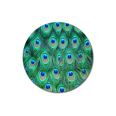 Feather, Bird, Pattern, Peacock, Texture Magnet 3  (round) by nateshop