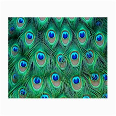 Feather, Bird, Pattern, Peacock, Texture Small Glasses Cloth by nateshop