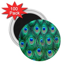 Feather, Bird, Pattern, Peacock, Texture 2 25  Magnets (100 Pack)  by nateshop