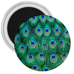 Feather, Bird, Pattern, Peacock, Texture 3  Magnets by nateshop