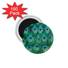 Feather, Bird, Pattern, Peacock, Texture 1 75  Magnets (100 Pack)  by nateshop