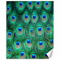 Feather, Bird, Pattern, Peacock, Texture Canvas 16  X 20  by nateshop