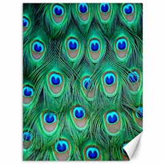 Feather, Bird, Pattern, Peacock, Texture Canvas 36  X 48  by nateshop