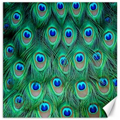 Feather, Bird, Pattern, Peacock, Texture Canvas 16  X 16  by nateshop