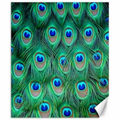 Feather, Bird, Pattern, Peacock, Texture Canvas 20  X 24  by nateshop