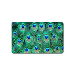 Feather, Bird, Pattern, Peacock, Texture Magnet (name Card) by nateshop