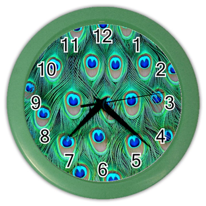 Feather, Bird, Pattern, Peacock, Texture Color Wall Clock