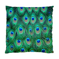 Feather, Bird, Pattern, Peacock, Texture Standard Cushion Case (one Side) by nateshop