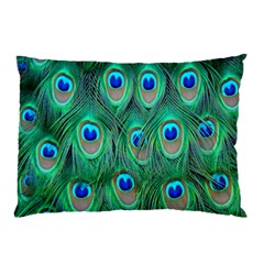 Feather, Bird, Pattern, Peacock, Texture Pillow Case by nateshop