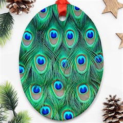 Feather, Bird, Pattern, Peacock, Texture Oval Ornament (two Sides) by nateshop